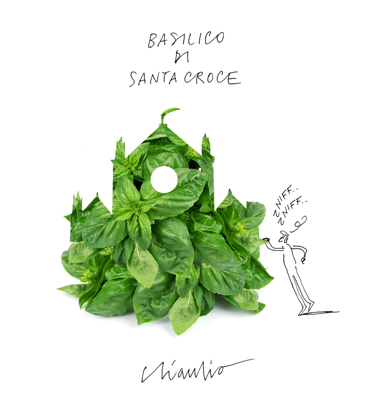 basilico-di-santa-croce-3l